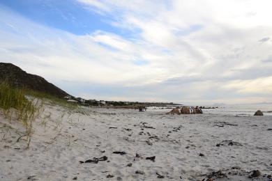 Sandee Pringle Bay Beach Photo