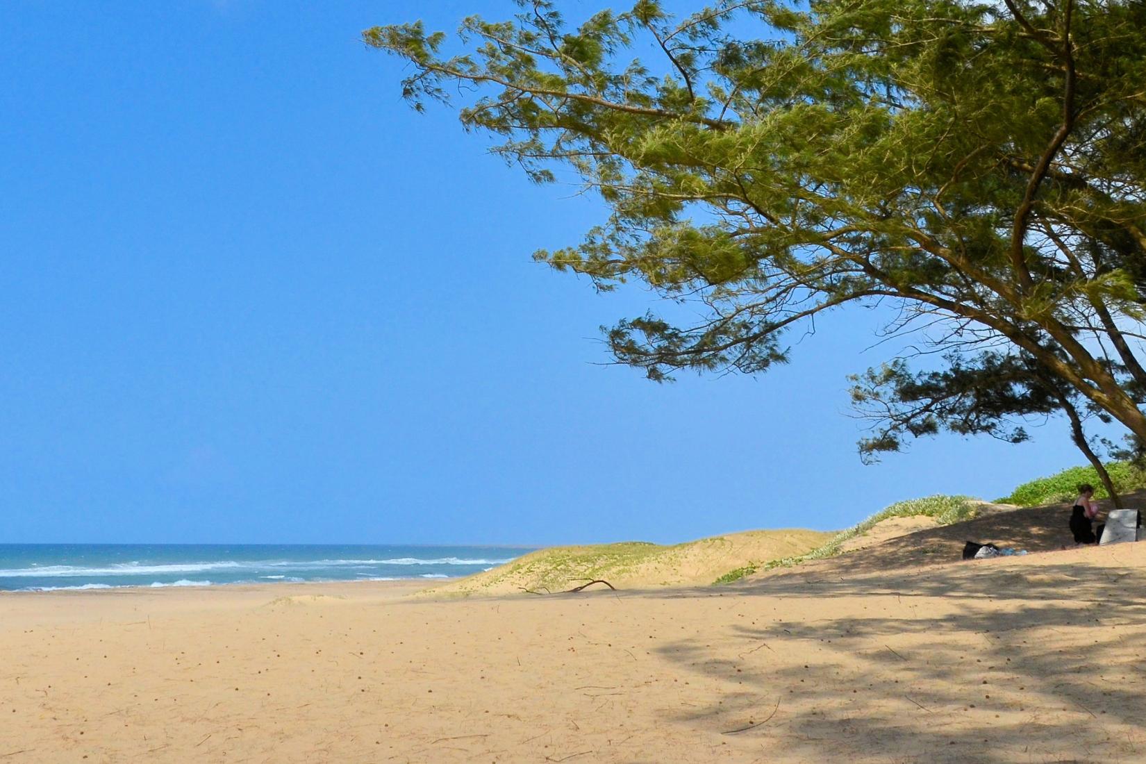Sandee - HomePage / Mtubatuba 