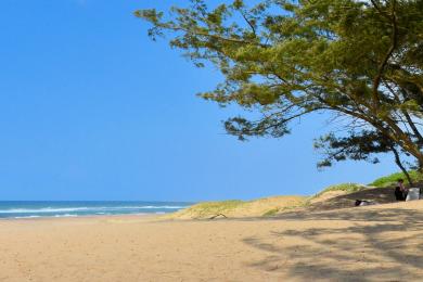 Sandee St. Lucia Beach Photo