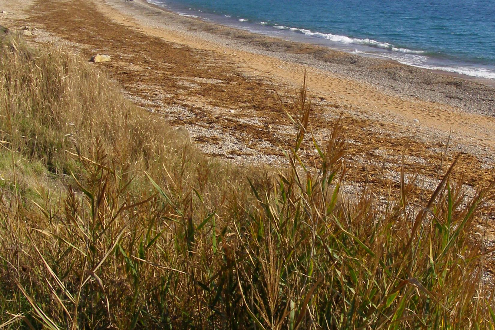 Sandee - Ringstead Bay Beach