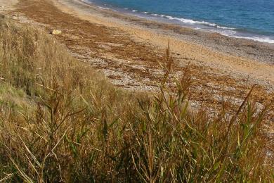 Sandee Ringstead Bay Beach Photo