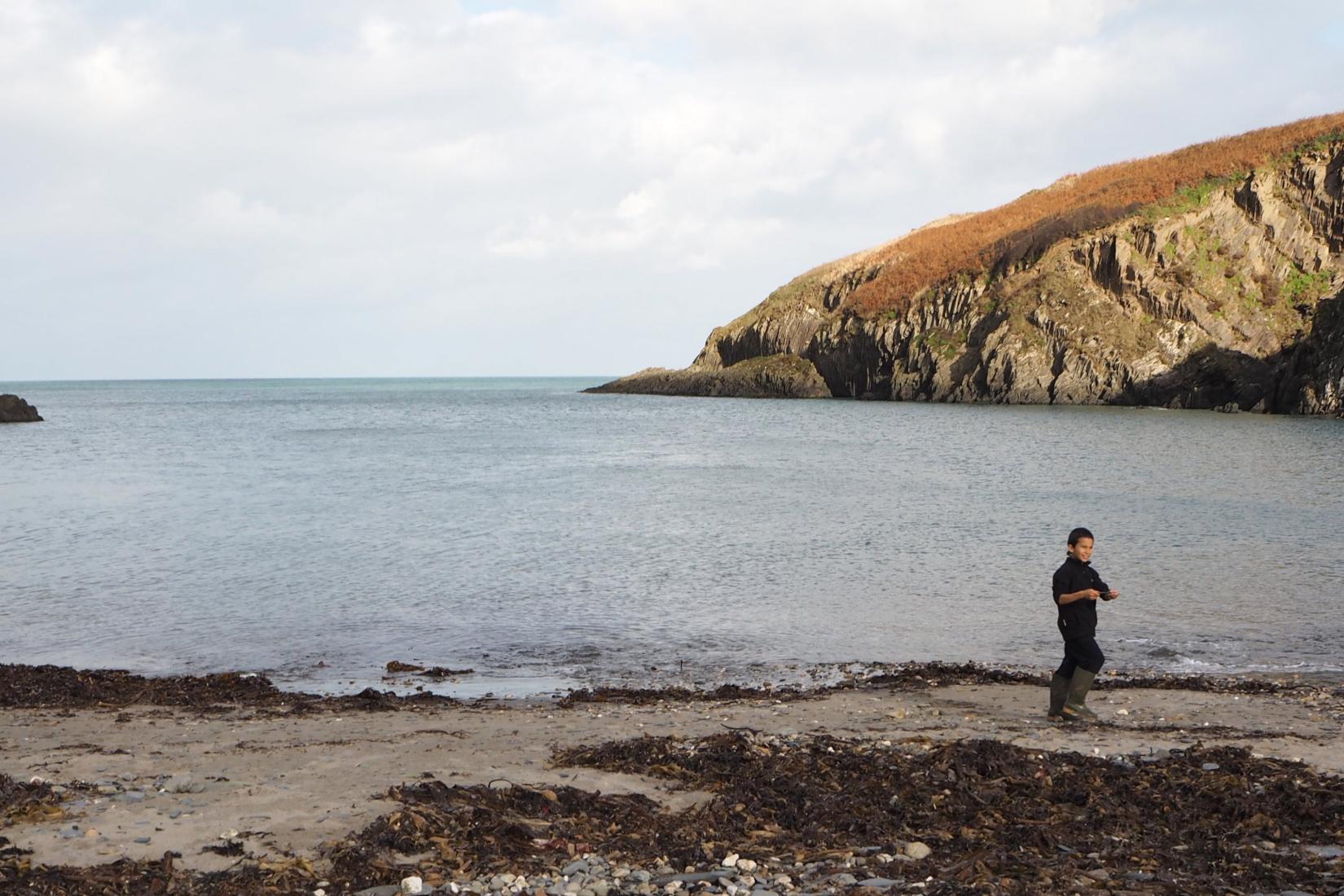 Sandee - Whitecliff Bay Beach