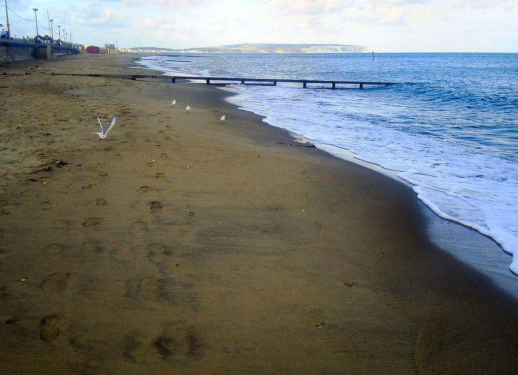 Sandee - Shanklin Beach