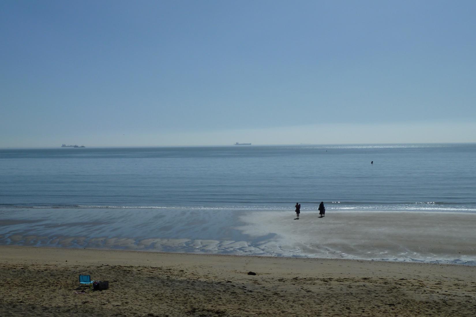 Sandee - Sandown Beach