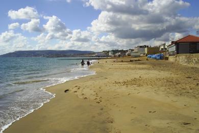 Sandee - Sandown Beach