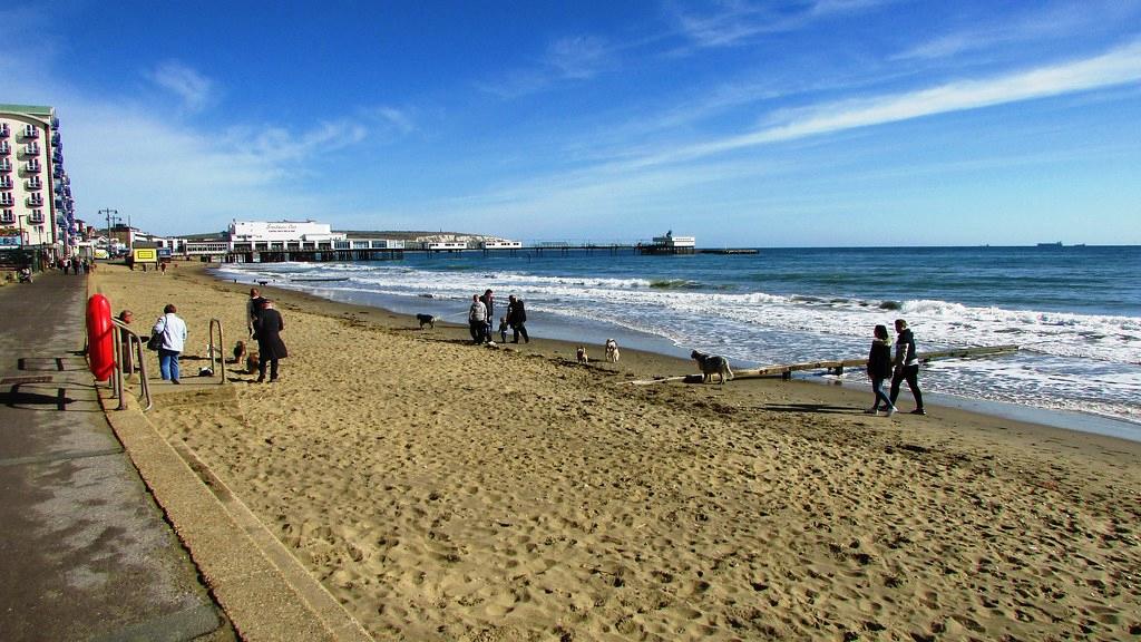 Sandee - Sandown Beach