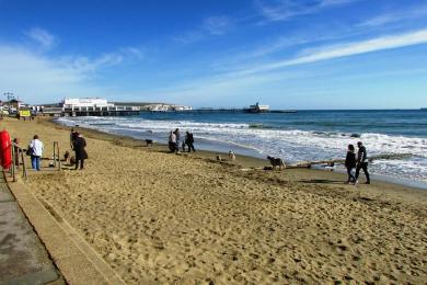 Sandee - Sandown Beach