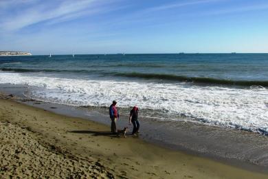 Sandee - Sandown Beach