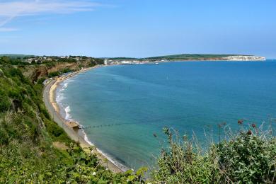 Sandee - Sandown Beach