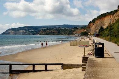 Sandee - Sandown Beach