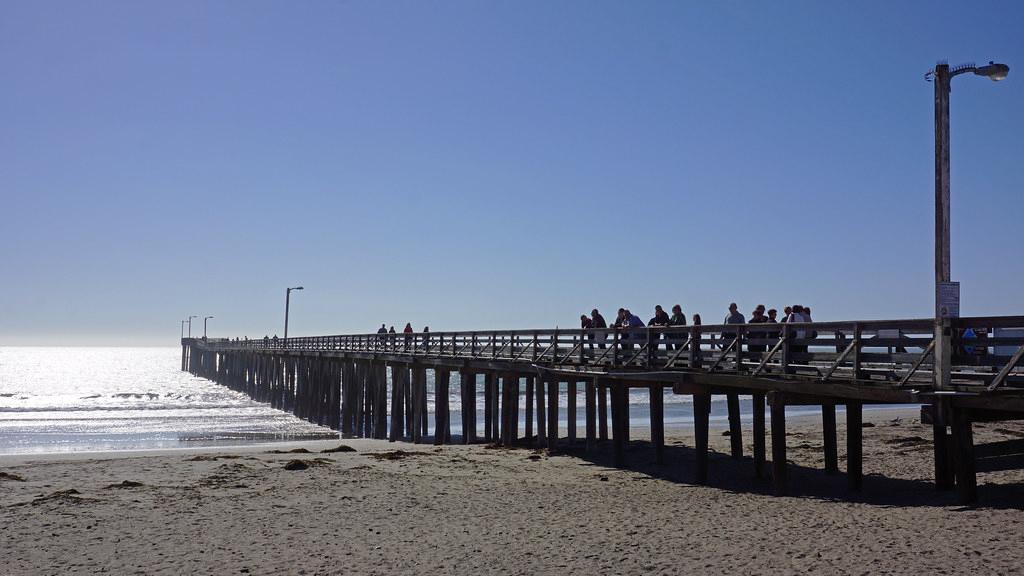 Sandee - Cayucos Beach