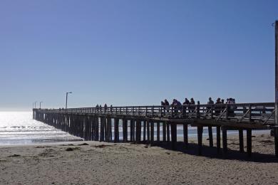 Sandee - Cayucos Beach