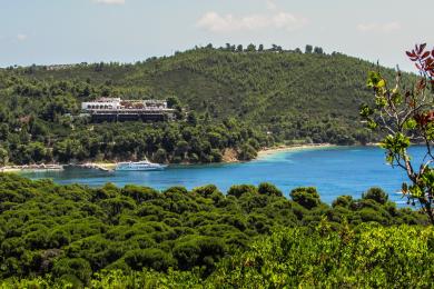 Sandee Koukounaries Beach Photo