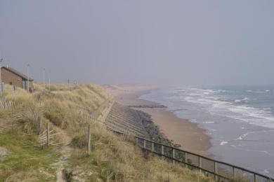Sandee Montrose Beach