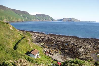 Sandee - Country / Niarbyl