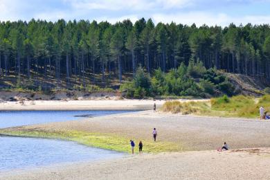 Sandee Findhorn Beach