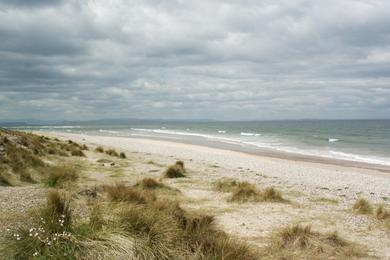 Sandee - Findhorn Beach