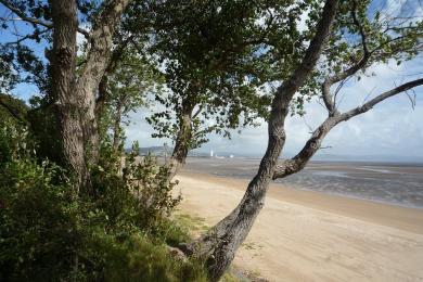 Sandee Swansea Bay – Black Pill Rock Photo