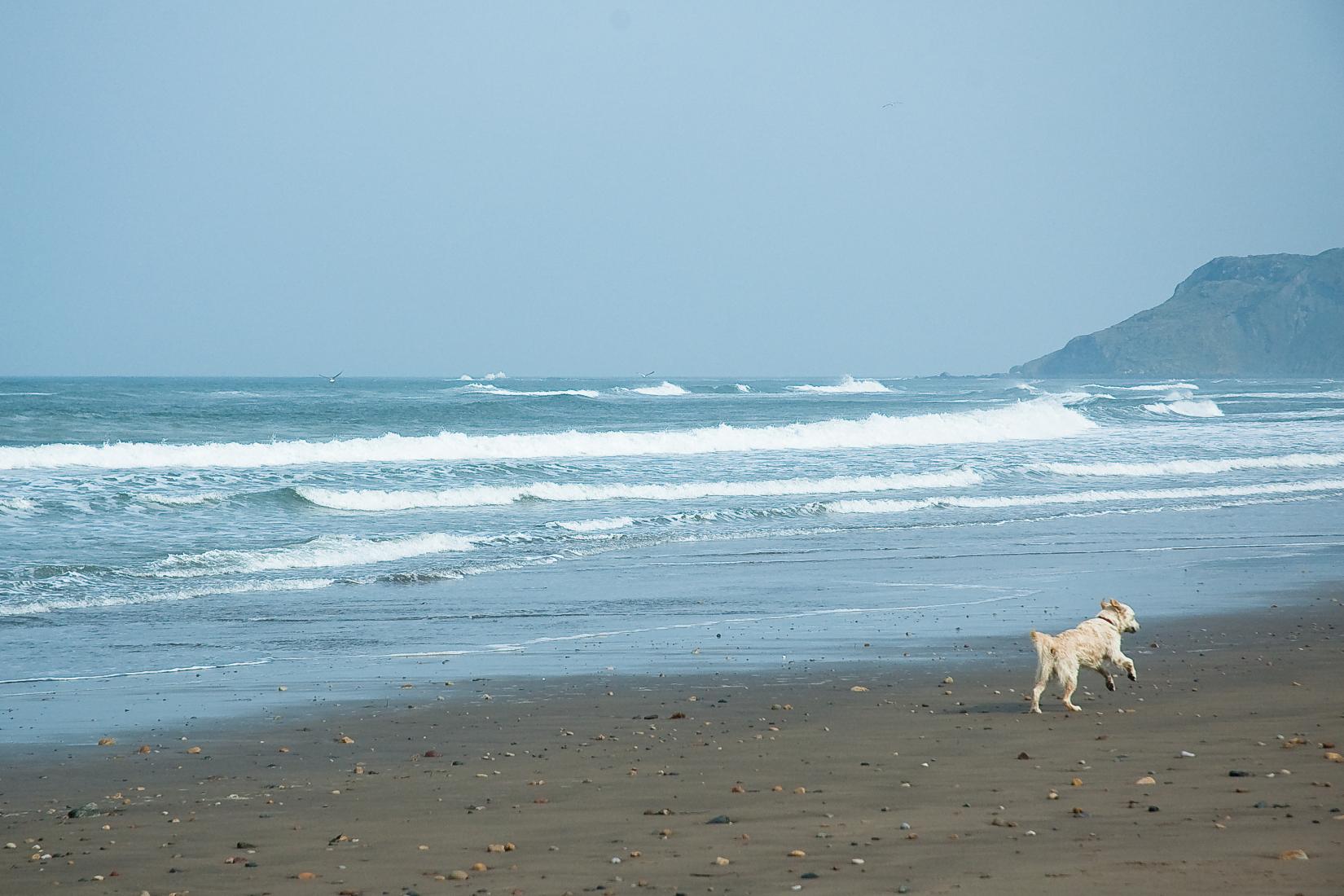 Sandee - Stoupe Beck Sands Beach