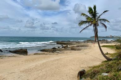 Sandee - Mooloolaba Beach