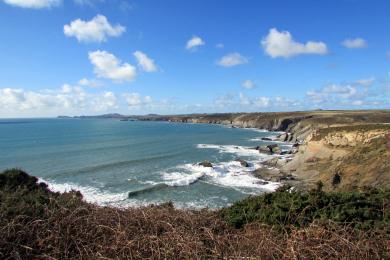 Sandee St Brides Haven Beach