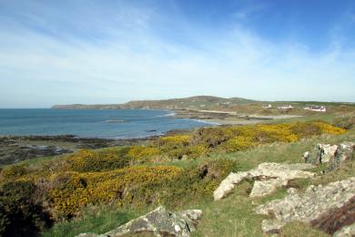 Sandee Porth Trwyn Beach