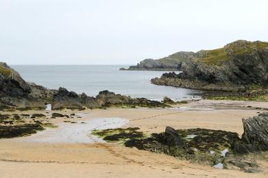 Sandee Trearddur Bay Beach