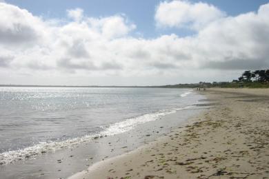 Sandee Rosslare Strand Beach