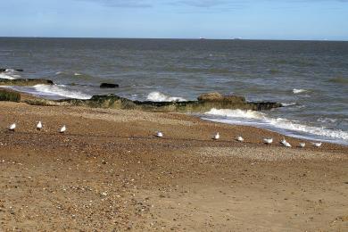 Sandee - Felixstowe North Beach