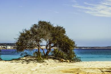 Sandee Makronissos Beach West Photo