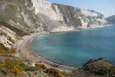 Sandee - Mupe Bay