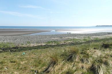 Sandee Luce Sands Beach Photo