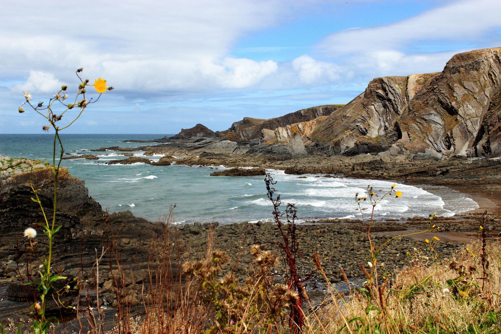 Sandee - Hartland Quay Beach