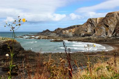 Sandee Hartland Quay Beach Photo