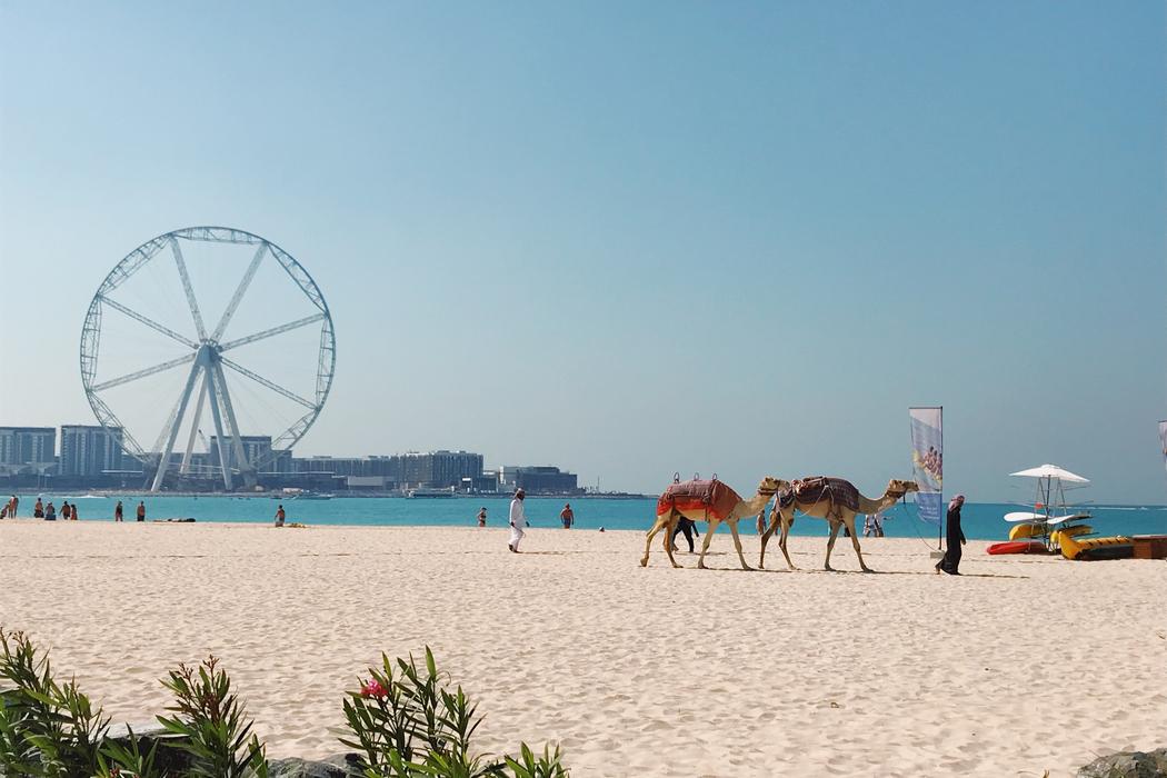 Sandee Barasti Beach
