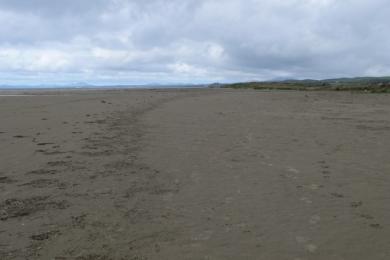 Sandee Morfa Bychan Beach