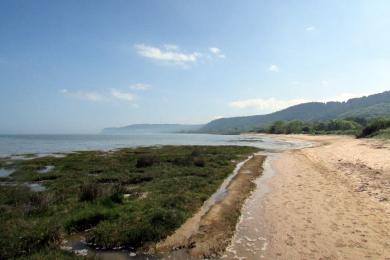 Sandee Red Wharf Bay Beach Photo