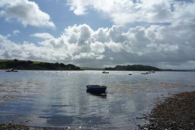 Sandee - Downings Beach