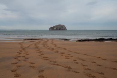 Sandee - Seacliff Beach