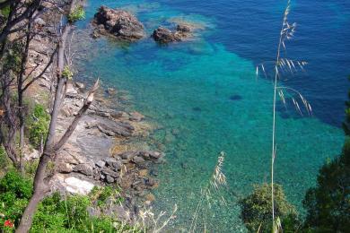 Sandee Campo Nell' Elba