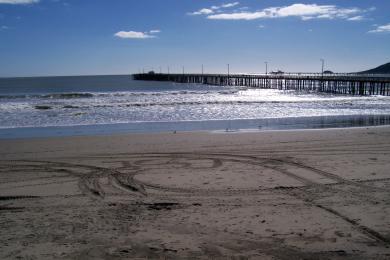 Sandee Avila State Beach Photo