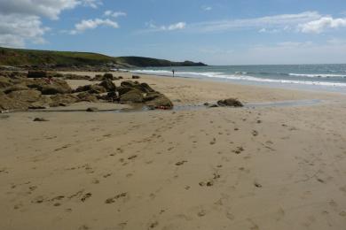 Sandee Cadgwith Cove Beach Photo