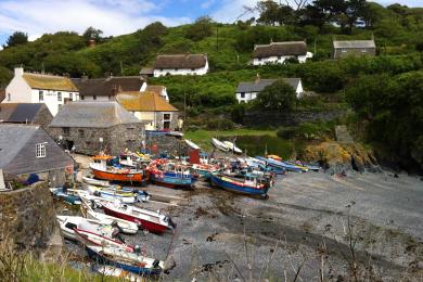 Sandee - Cadgwith Cove Beach