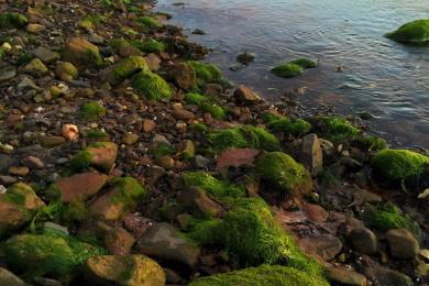 Sandee Wemyss Bay Beach Photo