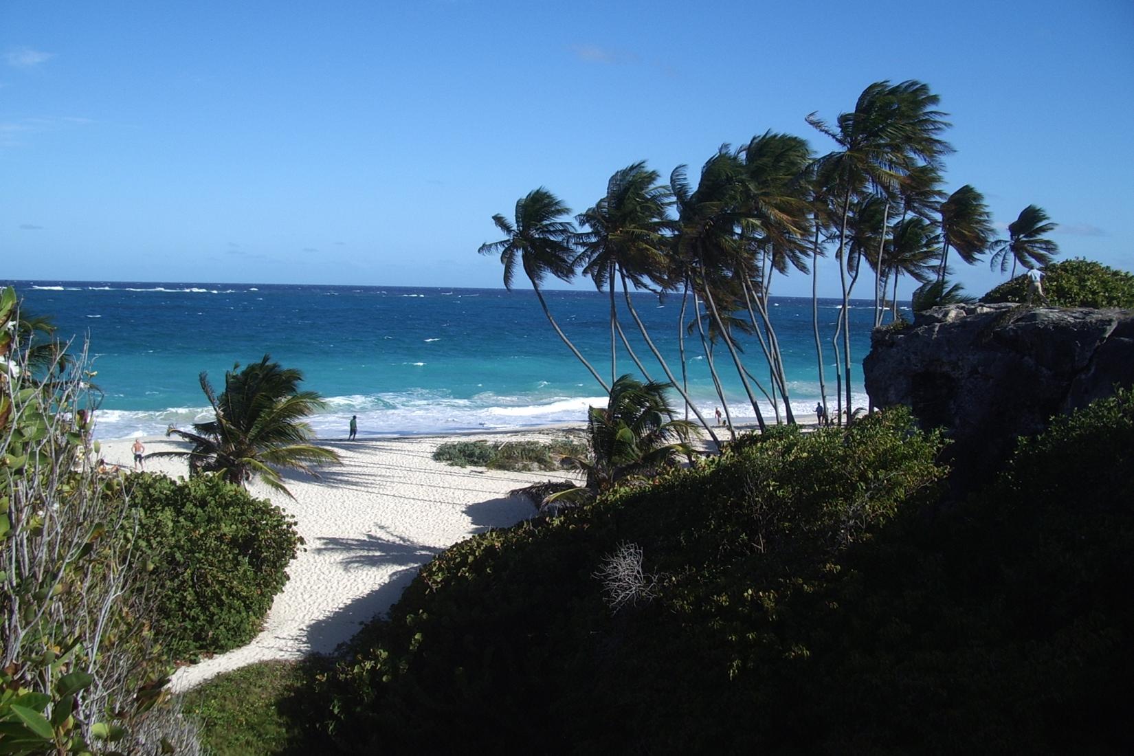 Sandee - Bottom Bay Beach