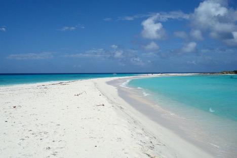 Sandee - Bottom Bay Beach