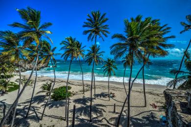 Sandee - Bottom Bay Beach