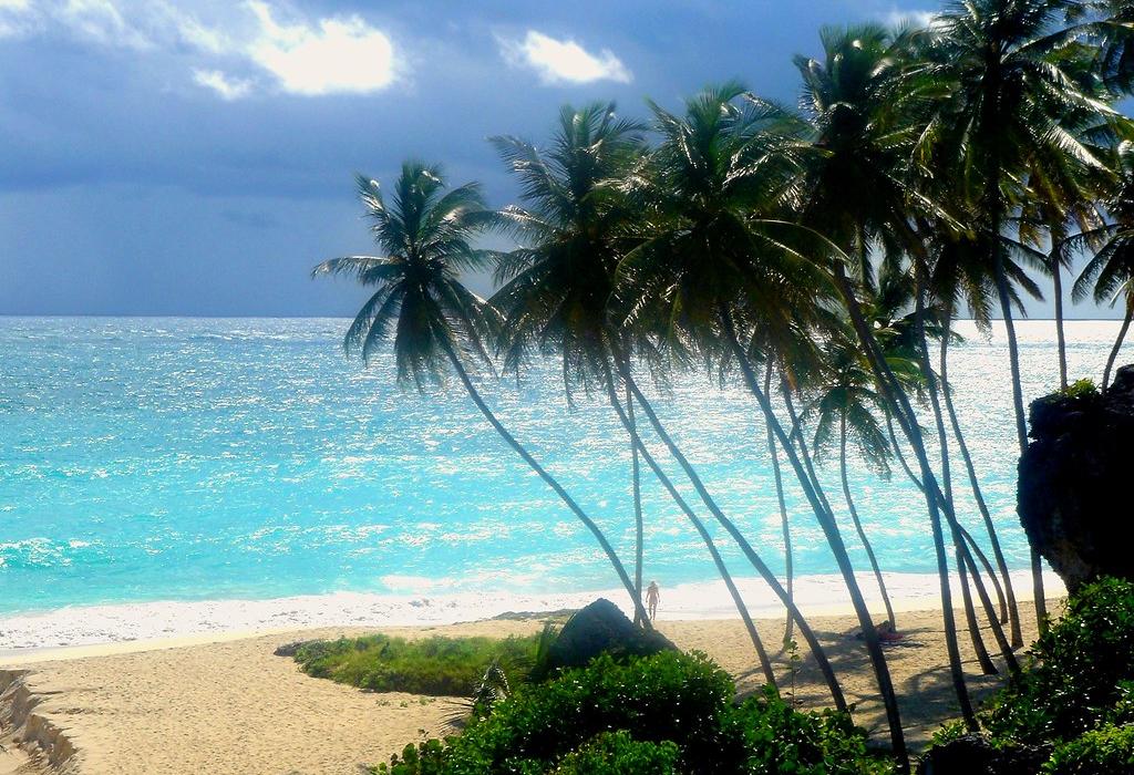 Sandee Bottom Bay Beach Photo