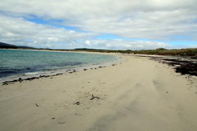 Sandee - West Voe Beach