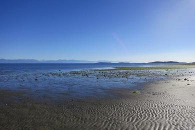 Sandee - Rathtrevor Beach Provincial Park